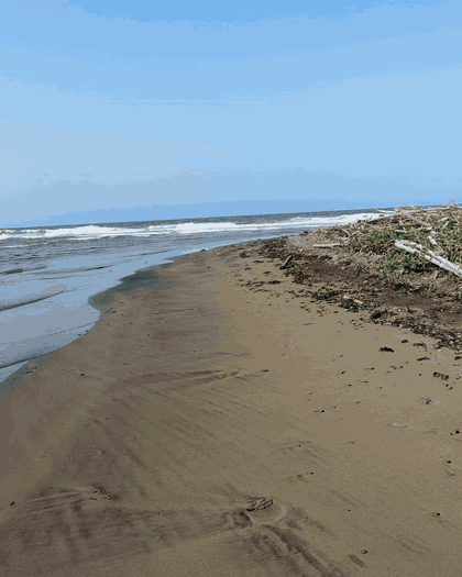 Animation d’une prise de vue au sol du littoral martiniquais par SOSA DRONE